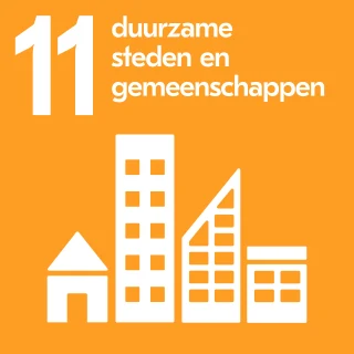 SDG 11