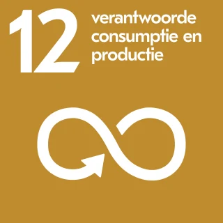 SDG 12