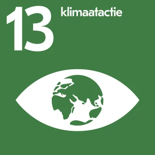 SDG 13