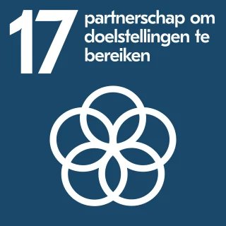 SDG 17