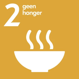 SDG 2