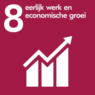 SDG 8