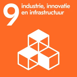 SDG 9